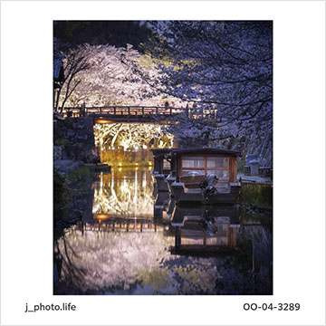 インスタグラム部門で展示する「#風景の写真」。幻想的な風景を写した作品