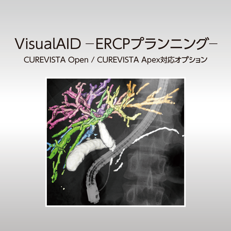 VisualAID－ERCPプランニング－ | 富士フイルム [日本]