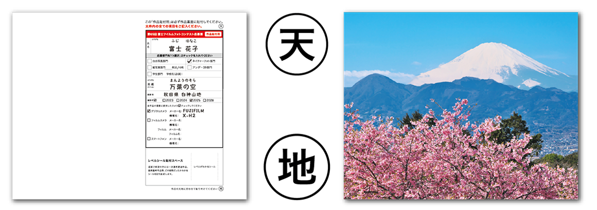 作品の天地と応募票(赤色)天地
