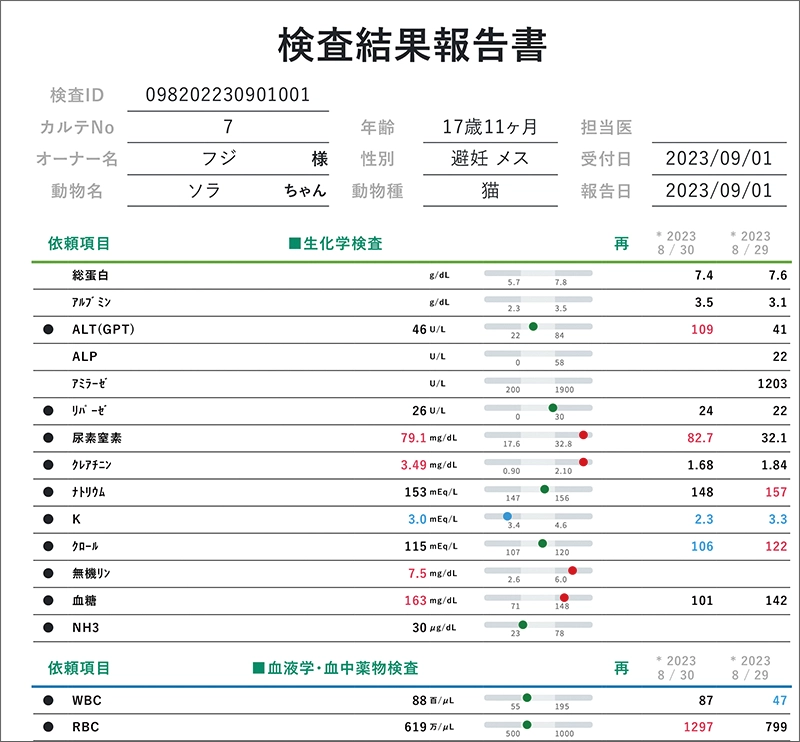 報告書サンプル