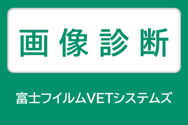 富士フイルムVETシステムズ 画像診断