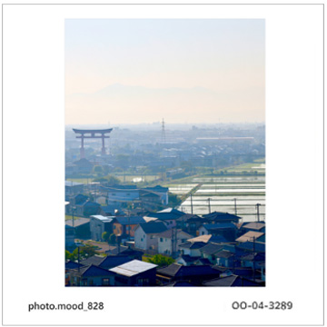 鳥居を写した応募作品