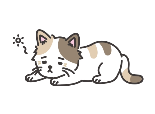 年老いた猫