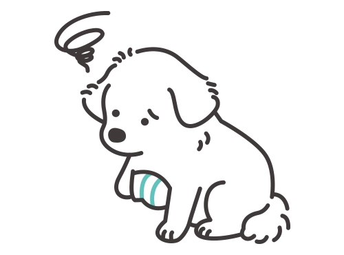 怪我をして足を痛がっている犬
