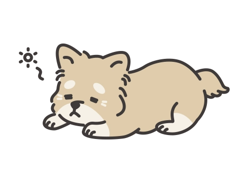 年老いた犬