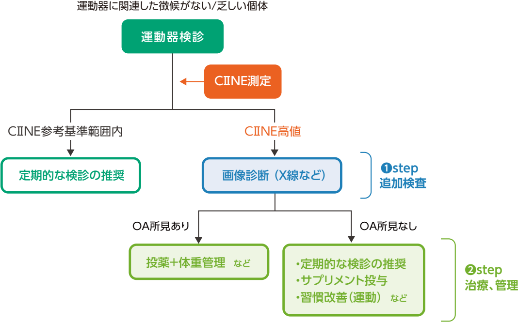 検査結果の評価とアクション
