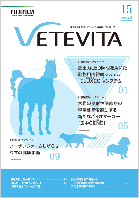 「VETEVITA Vol.15」表紙イメージ