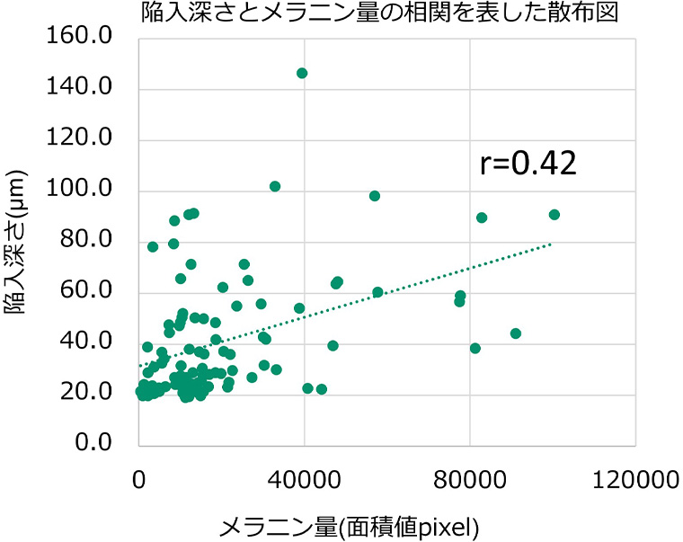 基底膜の陥入の深さとメラニン量の相関を表した散布図