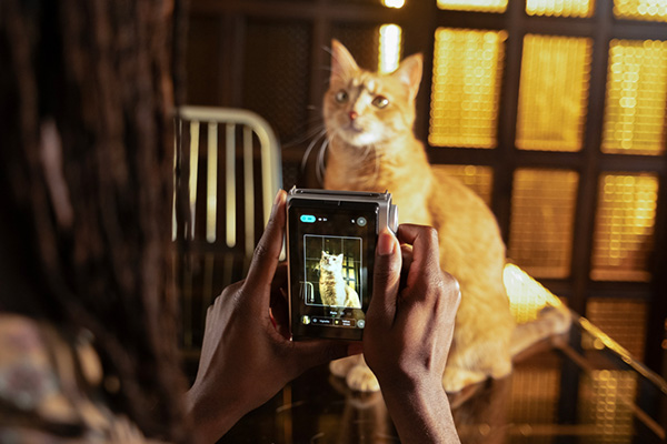 instax Expanded View™ Mode (Cat)