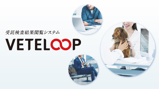 (裁断済)フローチャートでわかる犬と猫の血液検査・生化学検査 51vCI6y21TL.jpg_BO30,255,255,