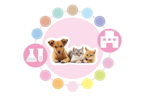 検査サービス 富士フイルム 日本