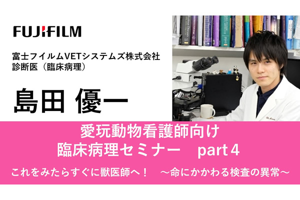 【美品】小動物の内視鏡学 LLLセミナー 一流の品質 美品】小動物の内視鏡学 LLLセミナー 本 健康・医学