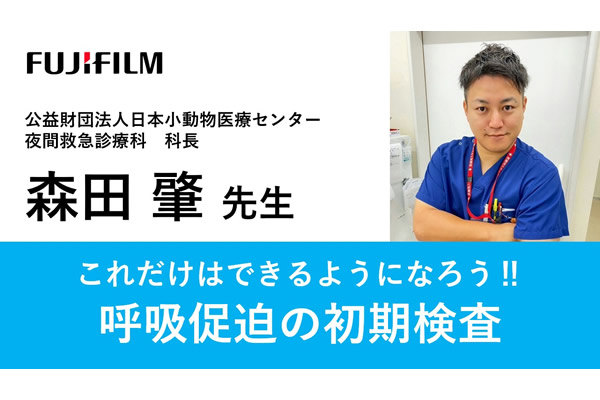 富士フイルム製品に関する講演動画：超音波画像診断装置（動物