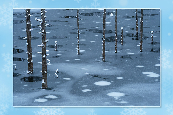 過去のイベント・キャンペーン | 富士フイルム [日本]