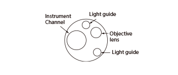 Part of the tip