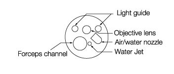 [image] Tip of endoscope with parts - light guide, forceps channel, objective lens, air/water nozzle, and water jet