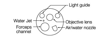 [image] Punta del endoscopio con piezas: guía de luz, canal de fórceps, lente objetivo, boquilla de aire/agua y chorro de agua