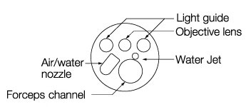 [image] Punta del endoscopio con piezas: guía de luz, canal de fórceps, lente objetivo, boquilla de aire/agua y chorro de agua