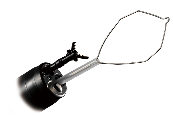 Imagen de la punta del EI-740D/S