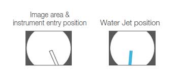 Image area & forceps entry position