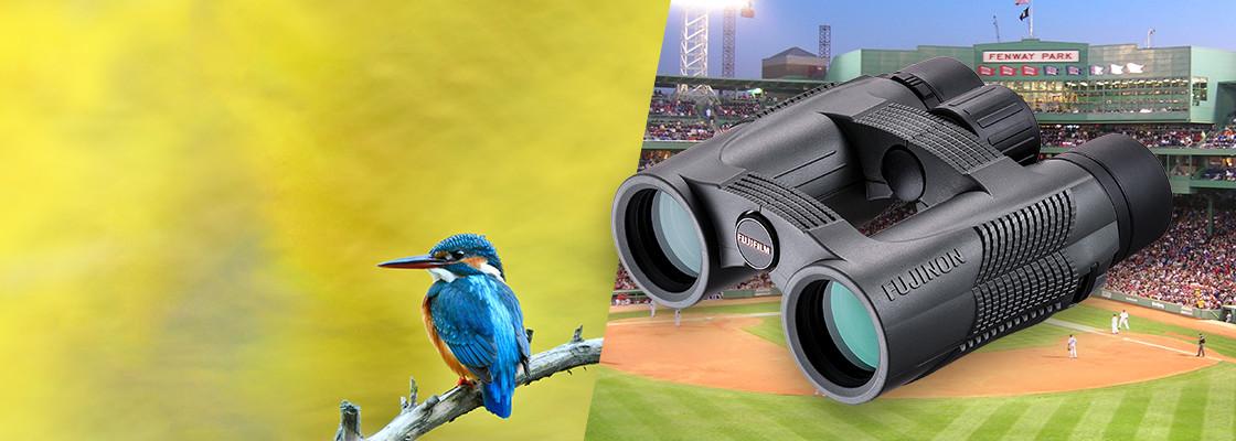 [photo] A bird on a tree branch and a KF Series binocular with an evening baseball game at a baseball stadium background 