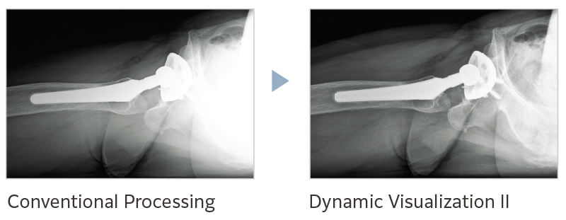 Dynamic Visualization II