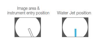 Image area & forceps entry position