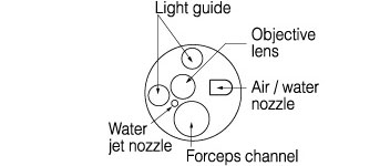 [image] Tip of scope with parts - light guide, forceps channel, objective lens, air/water nozzle, and water jet