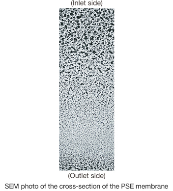 SEM photo of the cross-section of the PSE membrane