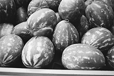 Close-up of a pile of watermelons