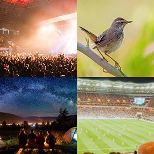 [photo] Varias aplicaciones