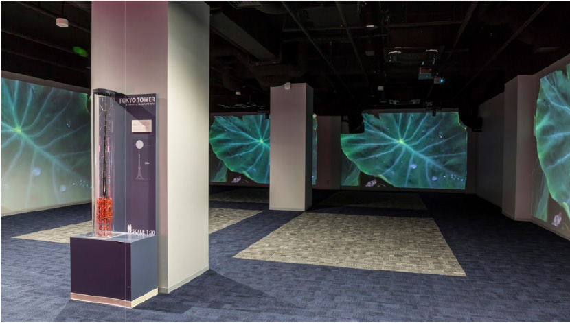 [photo] Tokyo Tower Welcome Lounge room with FP-Z5000 systems projecting leaf images unto walls
