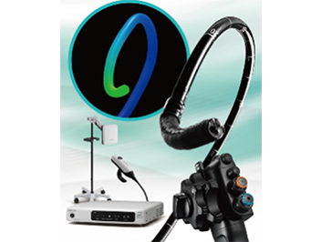 Endoscope visualization system
