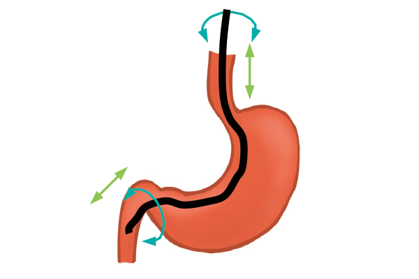 ELUXEO EI-740D/S | Fujifilm [Singapore]