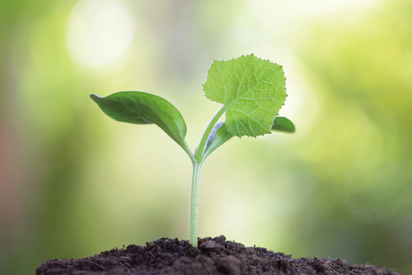 Link to Initiatives for environmental consideration
