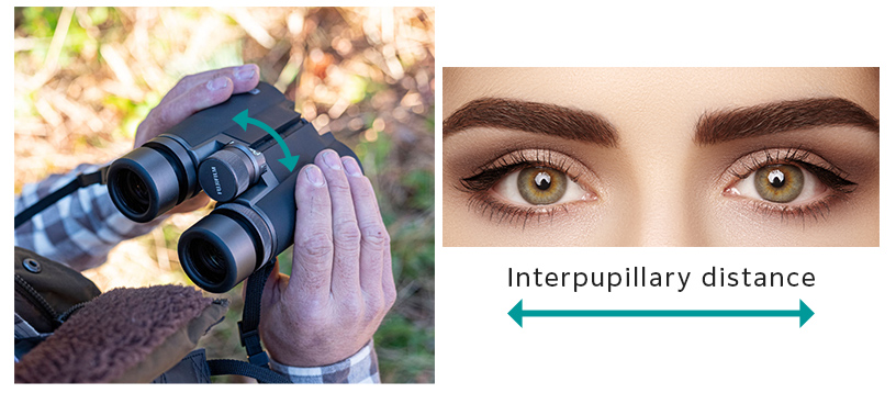 [photo] Step 2: Interpupillary Distance Adjustment