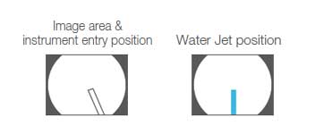 Image area & forceps entry position