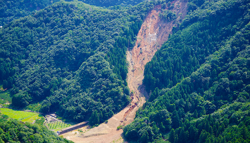 Picture of a landslight