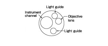 [image] Tip of scope with parts - light guides, objective lens, instrument channel