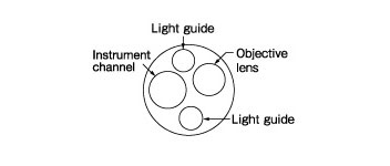 [image] Tip of scope with parts - light guides, objective lens, instrument channel