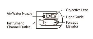 [image] Graphical rendering of the aeriel view of the ED-580T with labels point to the Air/Water Nozzle, Instrument Channel Outlet, Objective lens, Light Guide, Forceps Elevator, 