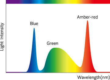 The wavelength of ACI​