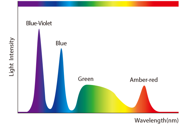 The wavelength of LCI​