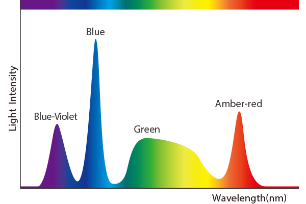 The wavelength of WLI​