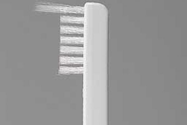 [photo] WB1318DE for distal end and forceps elevator