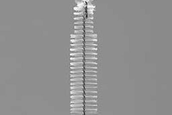 [photo] WB11003DV for suction valve cylinder, air/water valve cylinder and instrument channel inlet