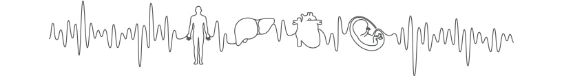 This illustration represents the ARIETTA series.