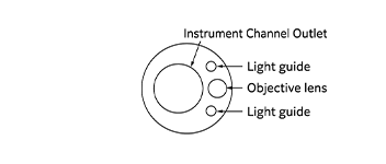 Part of the tip