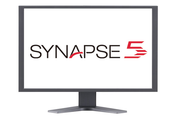 [logo] SYNAPSE