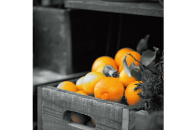 Image of a basket of orange with Orange Partial filter applied where everything except Orange are black and white